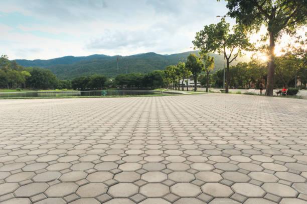 Best Driveway Paving Contractor  in Mantachie, MS